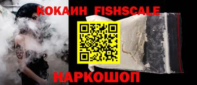 шишки Тара