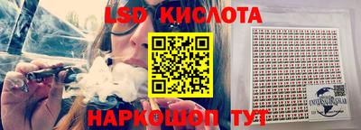 шишки Тара