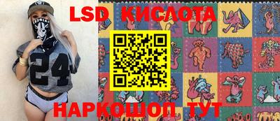 шишки Тара