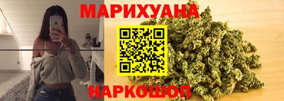 шишки Тара