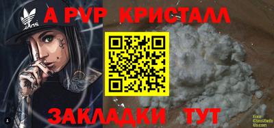 шишки Тара