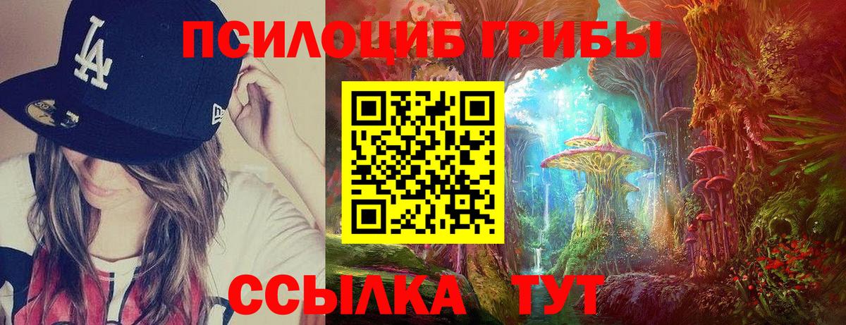 Псилоцибиновые грибы прущие грибы  Вход с VPN  Новый Уренгой  где продают   Галлюциногенные грибы Magic Shrooms 